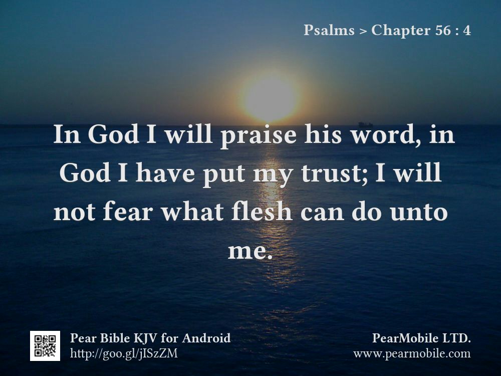 Psalms, Chapter 56:4